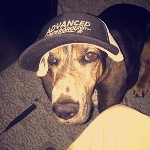 Meet your Posher, Dylan